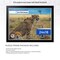 ArtToFrames 24x18 INCH / 61x46 CM Puzzle Frame for 300 piece Puzzles.This 1.00 Inch Custom Wood Frame for Puzzles Comes with Economy Acrylic, Available in Multiple Colors
